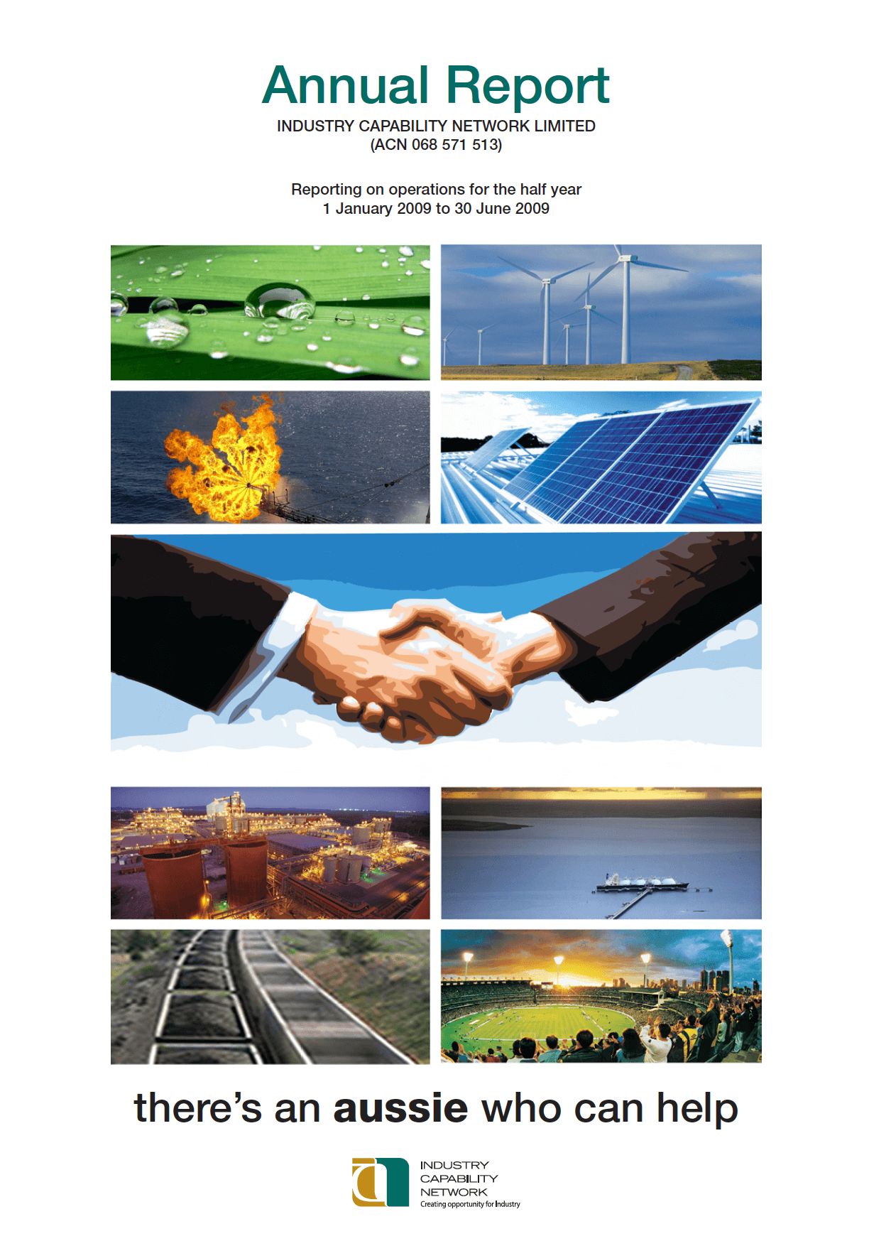 ICN Limited’s Annual Report 2008-09