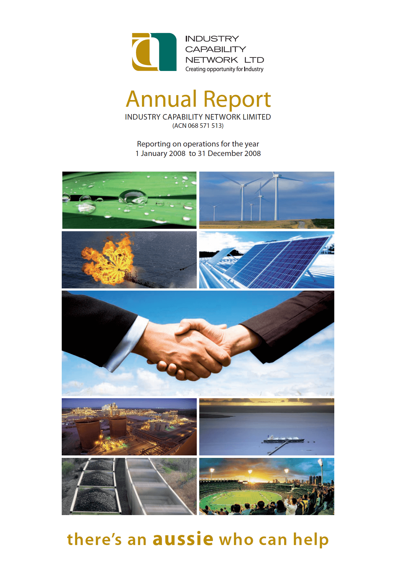 ICN Limited’s Annual Report 2007-08